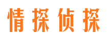 泌阳市调查公司